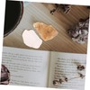 BUGUUYO 10pcs Mineral Rock Specimen Display for Teaching Irregular Stones