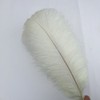 Shekyeon Piuma di struzzo fai da te, 40-45 cm, confezione