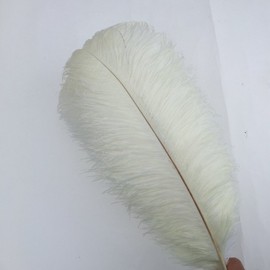 Shekyeon Piuma di struzzo fai da te, 40-45 cm, confezione da 10 (avorio)