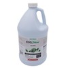 Environmental Plant Management ECO Shine | Oil-Free Leaf Shine Spray