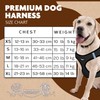 Murphy & Roxy Dog Harness - Durable, Comfortable, Breathable Mesh