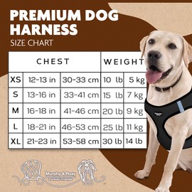 Murphy & Roxy Dog Harness - Durable, Comfortable, Breathable Mesh Fabric, Heavy Duty Buckle (Black, Size - L) (LARGE)