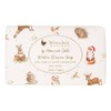 Wrendale Designs - 'Spiced Orange' Christmas Soap