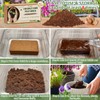 Legigo 6 Pack Premium Coco Coir Brick for Plants- 100%