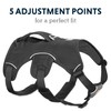 RUFFWEAR, Web Master, Multi-Use Support Dog Harness, Hiking and Trail