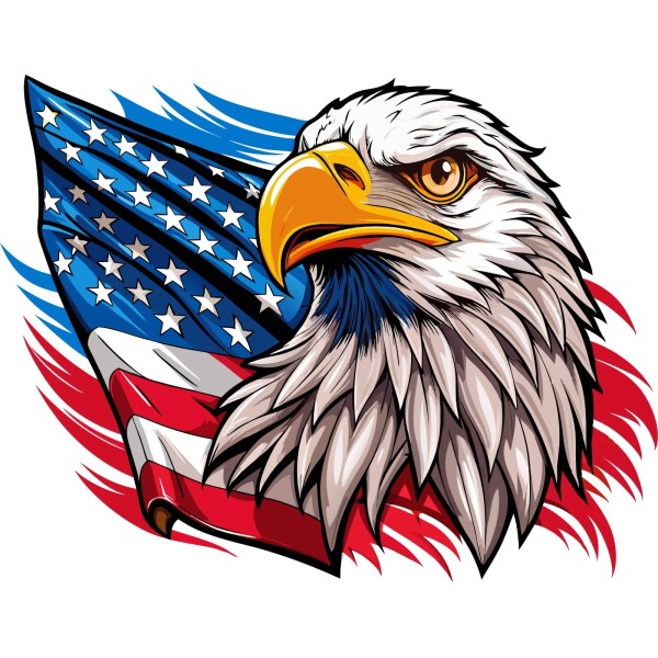Visionary Enterprises Eagle Head with American Flag RV Motorhome Camper