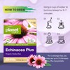 Planet Organic Echinacea with Green 25 Tea Bags