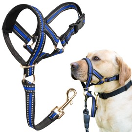 BARKLESS Muzzle Leash for Heavy Pullers, No Pull Stylish Head Halter for Large Aggressive Dogs, Gentle Dog Face Harness Stops Pet Pulling and Choking on Walks, Adjustable Head Collar