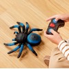 Terra by Battat – Remote Control Tarantula for Kids with