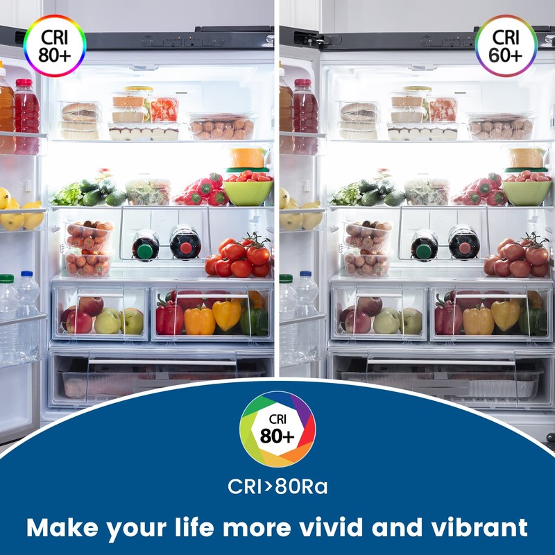 Luxvista Dimmable T6.5 E17 LED Appliance Bulb - 4W LED