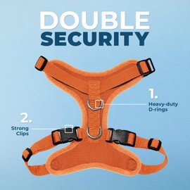 Voyager Step-in Lock Dog Harness w Reflective Dog Leash Combo Set with Neoprene Handle 5ft - Supports Small, Medium and Large Breed Puppies/Cats by Best Pet Supplies - Orange, S