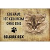 AGDeko® Blechschild Selkirk Rex Katze ohne kein Heim Größe 30x20