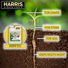 HARRIS Neem Oil Cold Pressed Water Soluble Concentrate, Makes 12