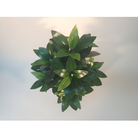 1 X Artificial Artificial Pestle Small (16.5 inches (42 cm)