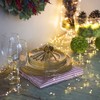 Waterfall String Lights Star Decorative Lights Twinkle Fairy Lights with