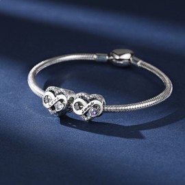 BIZK Women's Infinity Heart Birthstone Charm Pendant for Bracelet 925 Sterling Silver Birthstone Charms Beads 12 Months Birthday Gift for Girlfriend Women, Sterling Silver Cubic Zirconia, Cubic