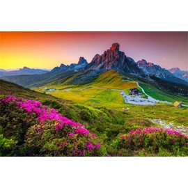 OFILA Mountain Backdrop 10x8FT Natural Scenery Photography Background Sunset Sunrise Floral Flowers Outdoor Travel Holiday Baby Shower Birthday Wedding Party Decor Kids Adults Portrait Photo Studio