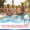 HTH 67045 Algae Guard 10 for Swimming Pools, 1 gal