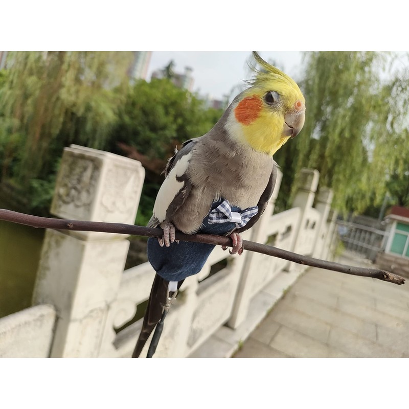 VANFAVORI Bird Diaper Harness Flight Suit Clothes with 80 Inch