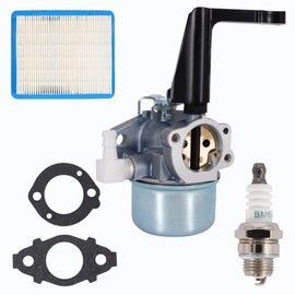 696065 697422 Carburetor Compatible with B & S 110402 110412 215369 5HP 5.5HP 6HP 6.5HP 7HP Tiller Engine Carb with Mounting Gaskets Kit and 491588S Flat Air Filter Cartridge