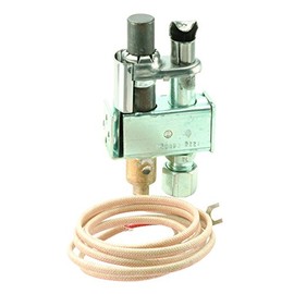 Emerson PG9A42JTL20 Combination PG9 Pilot Burner and 750 mV Generator