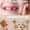 UNiELEMENT Baby Teeth Case, For Kids, Dogs, Cats, Pets, Baby