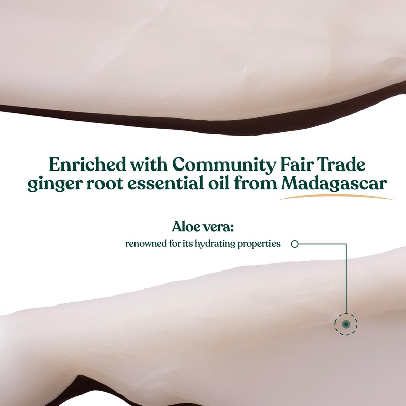 The Body Shop Ginger Scalp Care Conditioner 250ml