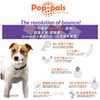 GiGwi Pop Pal Ring Dog Toy