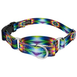 Country Brook Petz - Tie Dye Flowers Martingale with Deluxe Buckle - Groovy Collection Featuring Far Out Designs (5/8 Inch, Small)