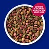 Kibbles 'n Bits Bistro Dry Dog Food, Oven Roasted Beef,