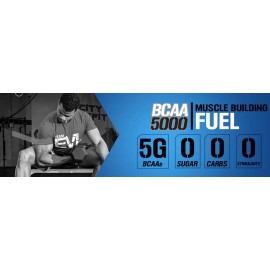 EVL BCAA 5000: Premium Amino Acid Powder for Post & Pre Workout Recovery, 30 srv