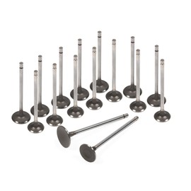 Domestic Gaskets DG-8614979459 Head Gasket Set Intake Exhaust Valves Compatible With/Replacement For 99-01 Chrysler Dodge Plymouth 2.0L ECB