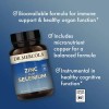 Dr. Mercola Zinc Plus Selenium 90 Cápsulas