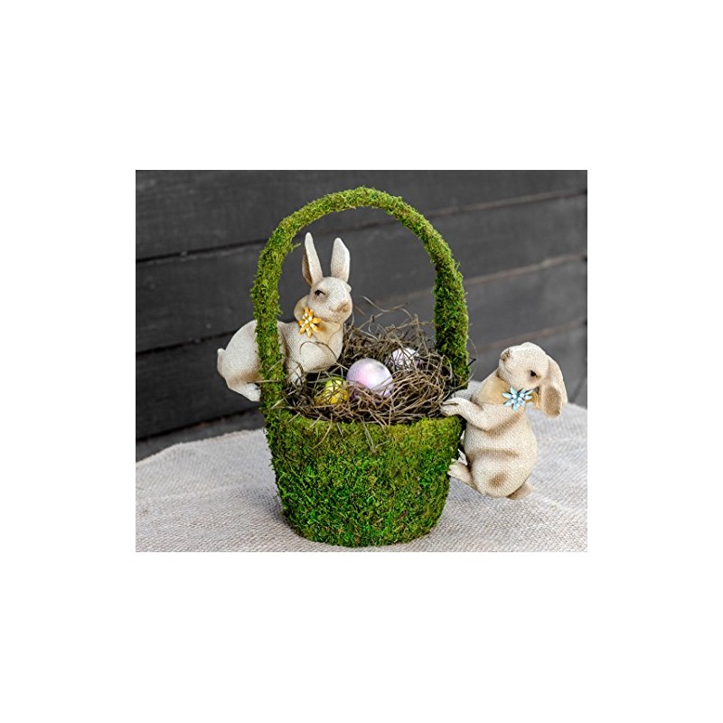 SuperMoss (21715 Aspen Wood Moss (Excelsior), Brown, 8oz