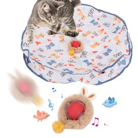 Interactive Cat Toy Ball Fast Rolling in Pouch, Automatic Cat Toys Motion Activated Simulated Chirping Bird Sound Cat Toy Hide and Seek Mouse Cat Game,Moving Cat Toy for Indoor Cat White Mat Red Ball