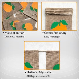 Uniwish Orange Banner for Little Cutie Baby Shower Decorations Garland Orange Clementine Theme Birthday Party Supplies Photo Backdrop