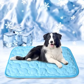 Upgraded Dog Cooling Mat, Pet Cooling Mats, Washable & Portable Pet Soft Pad, Foldable & Non-Slip Dog mats, Indoor Outdoor Uses in Kennel, Bed, Sofa or Car(Blue, M: 62×50 cm | 24×20 inch)