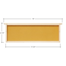 Honey Keeper 10 Assembled Beehive Frames with Waxed Natural Foundations for Beekeeping, 6-1/4 inch