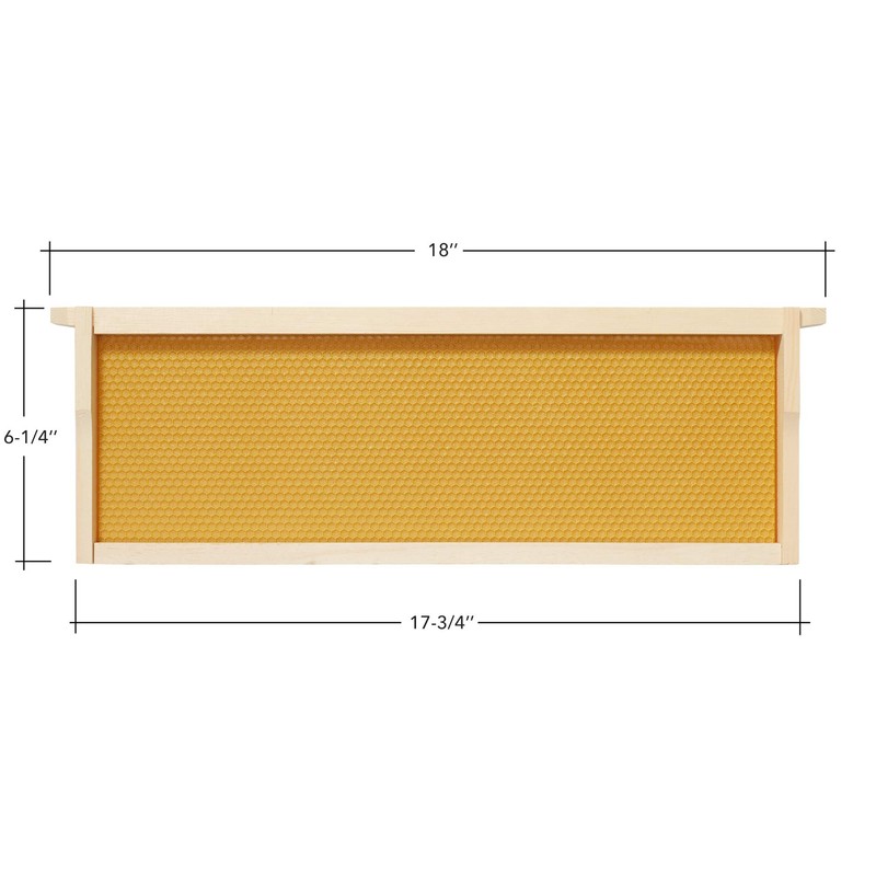 Honey Keeper 10 Assembled Beehive Frames with Waxed Natural Foundations