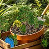 OrgMemory Model Scenery, 31pcs, Fairy Garden Accessories, Diorama Supplies Kit,