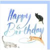 Cat and Kitten Birthday Card - Quality Blank Greetings Card