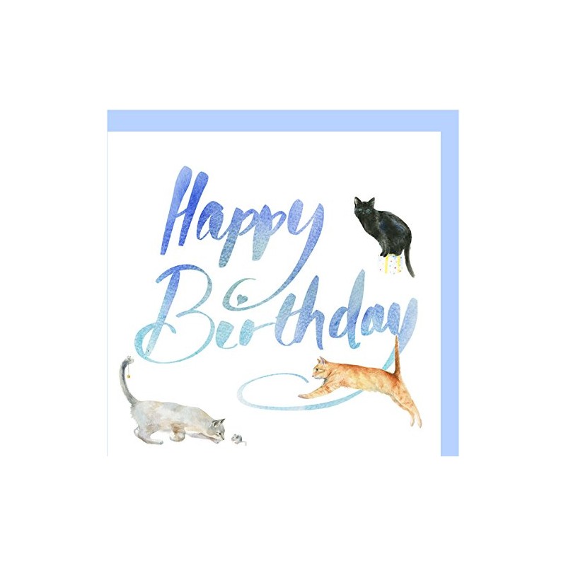 Cat and Kitten Birthday Card - Quality Blank Greetings Card