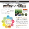 Mukuna Bean Trial 2-Piece Set [Shikishimaya] [Made in Japan (Kumamoto