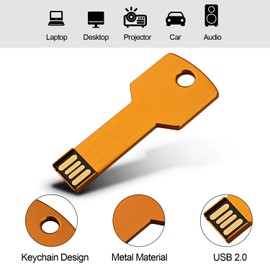 RAOYI 10 Pack 2GB USB Flash Drive USB 2.0 Metal Key Shape Memory Stick Thumb Drive Pen Drive-Gold