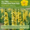 Mullein Leaf Extract Organic Lung Cleanse Drops for Lung Health