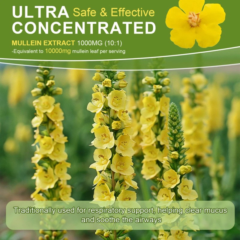 Mullein Leaf Extract Organic Lung Cleanse Drops for Lung Health