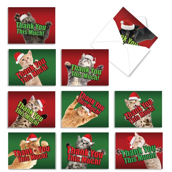 The Best Card Company - 10 Cat Thank You Cards - Christmas Animal Notecards, Assorted Holiday Set (4 x 5.12 Inch) - Christmas Cat Big Thanks M2368XTG-B1x10