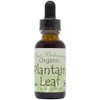 Best Botanicals Organic Plantain Leaf Extract 1 oz.