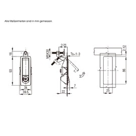 Haasweller 2 x Lever Lock Compression Lock Flat Lock for Crate Box Suitcase Service Flap Case Yacht Boat Lock Motorhome Furniture Lock such as Push Lock and Pull Lock