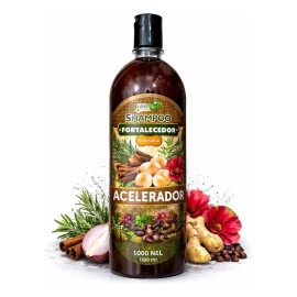 Shampoo Acelerador Crecimiento Cabello Romero Jengibre Canel